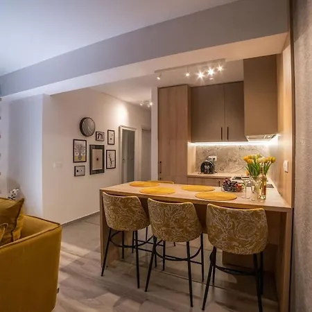 Carpe Diem Travel 티미쇼아라